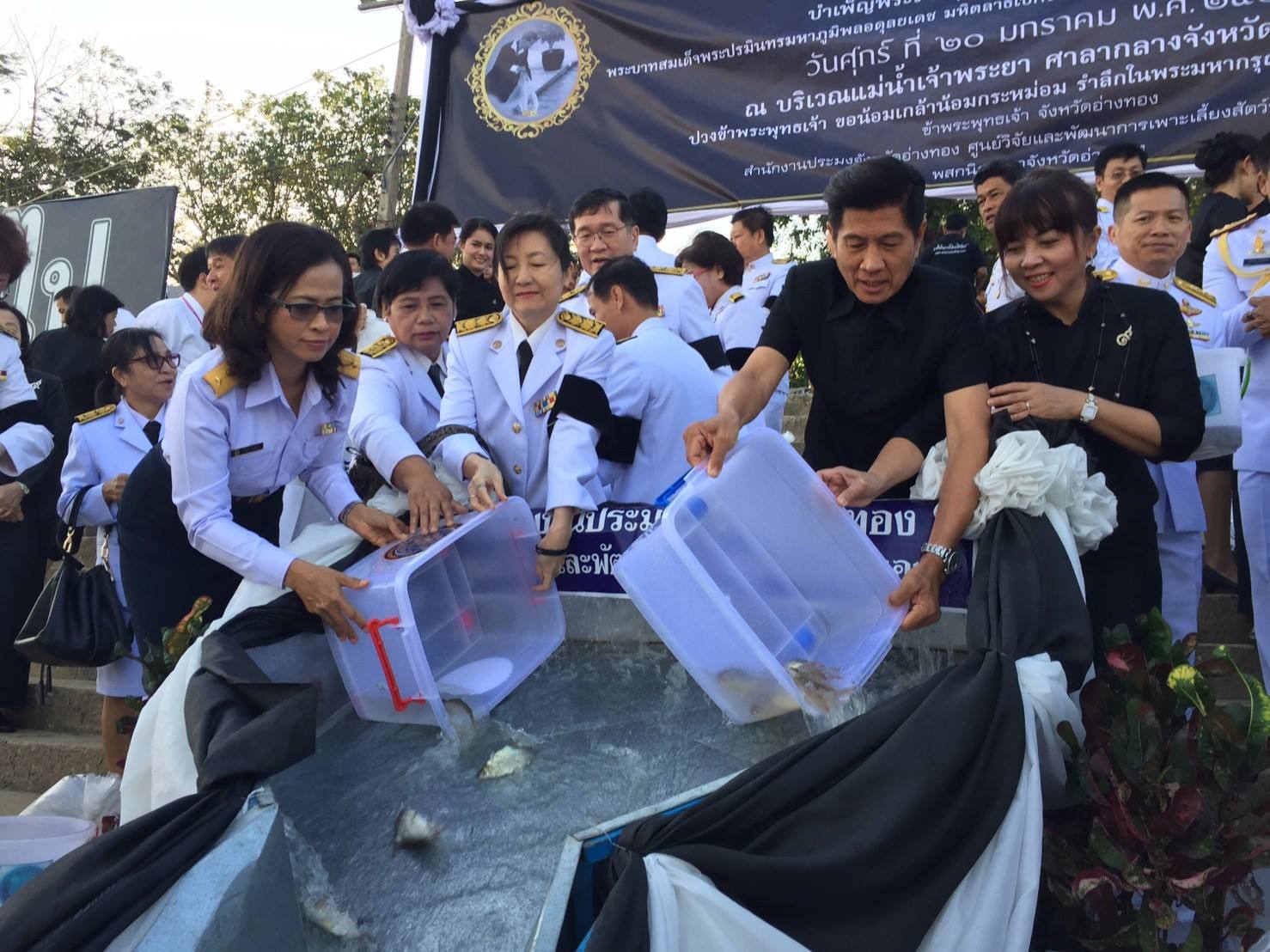 ศูนย์วิจัยและพัฒนาการเพาะเลี้ย..ชมภาพ