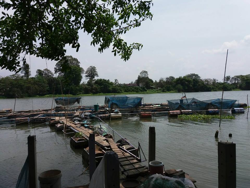 จับพิกัดผู้เลี้ยงปลาในกระชังใน..ชมภาพ