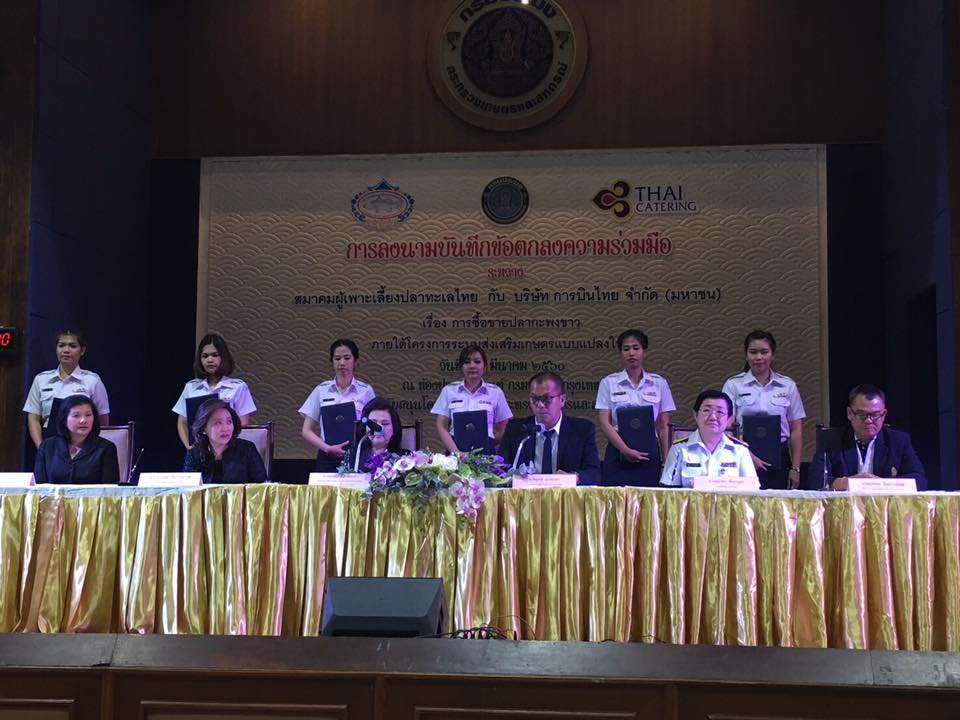 ประมงโชว์ศักยภาพ...ปั้น กะพงข..ชมภาพ