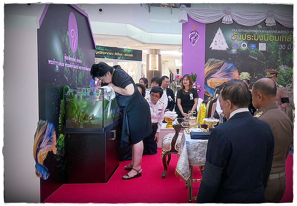พระเจ้าวรวงศ์เธอ พระองค์เจ้าโส..ชมภาพ