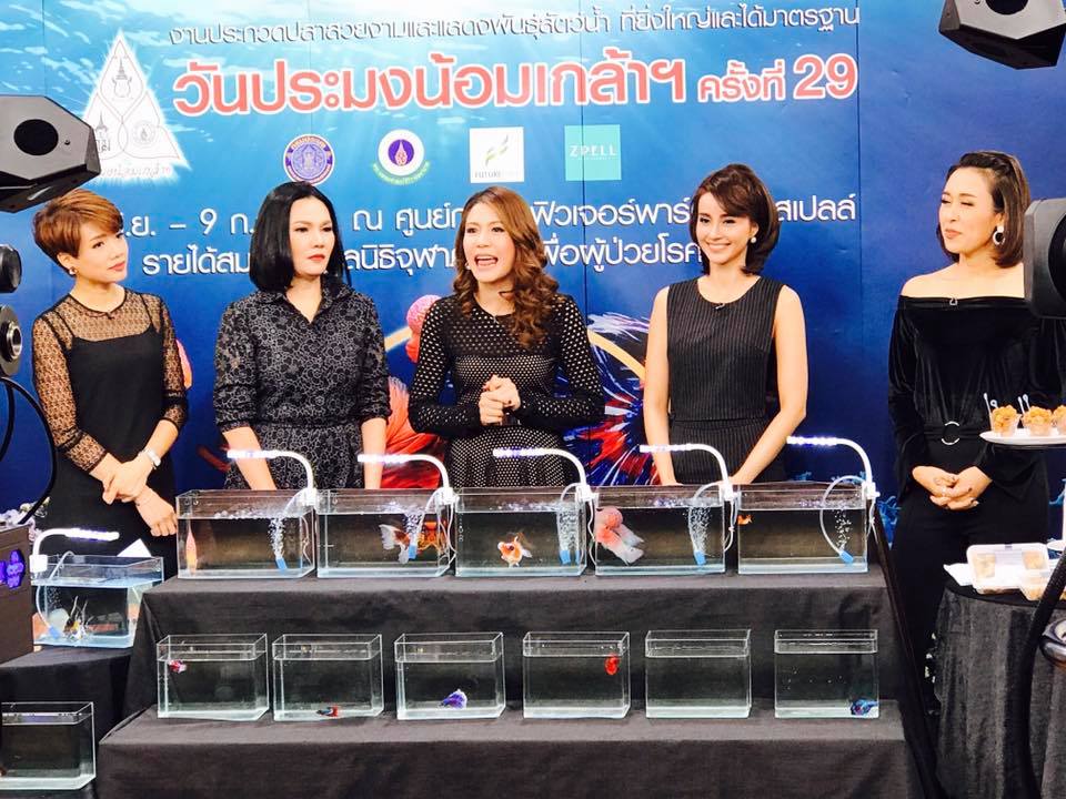 ประชาสัมพันธ์ เชิญชวนให้ผู้สนใ..ชมภาพ