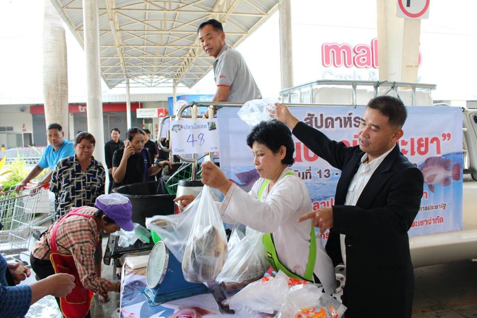 ประมงหนุนระบบเกษตรแบบแปลงใหญ่ ..ชมภาพ
