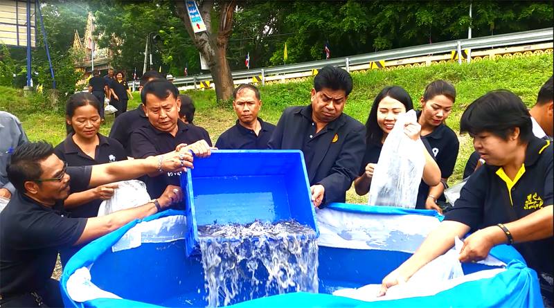 กิจกรรมปล่อยพันธุ์สัตว์น้ำเฉลิ..ชมภาพ