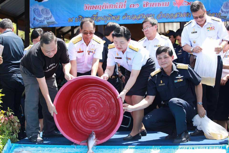  โครงการธนาคารอนุบาลรักษาพันธ..ชมภาพ