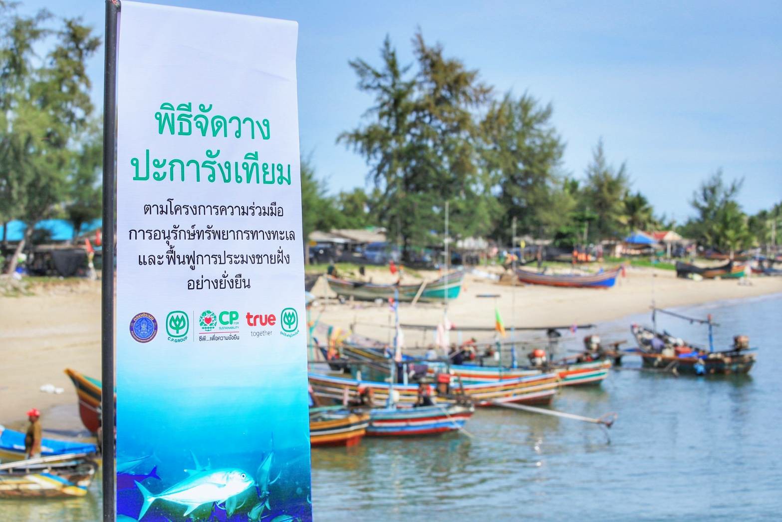 ร่วมพิธีวางปะการังเทียม ฟื้น..ชมภาพ