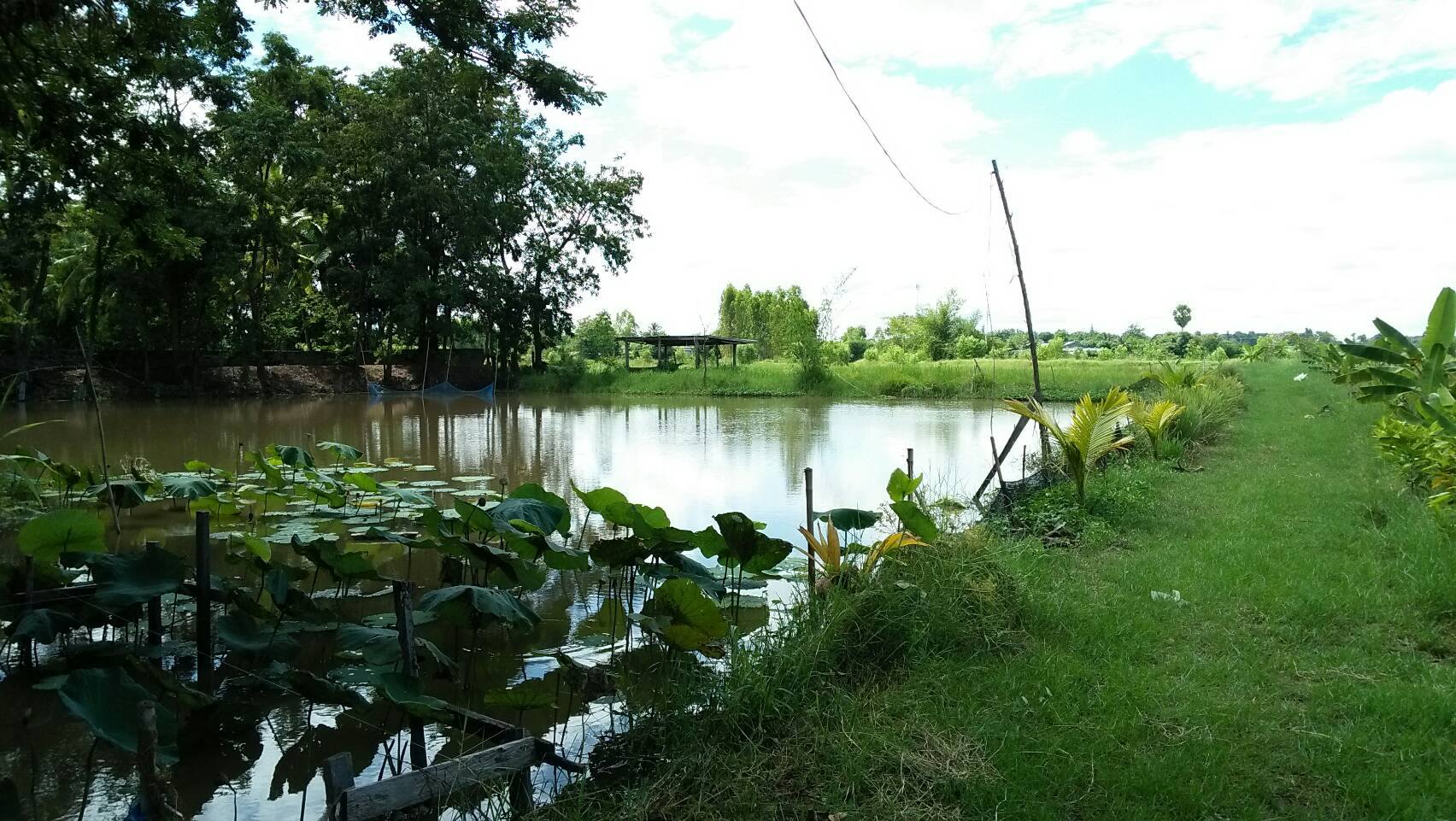 ลงพื้นที่บ้านขอนคว้าง ตำบลวังย..ชมภาพ
