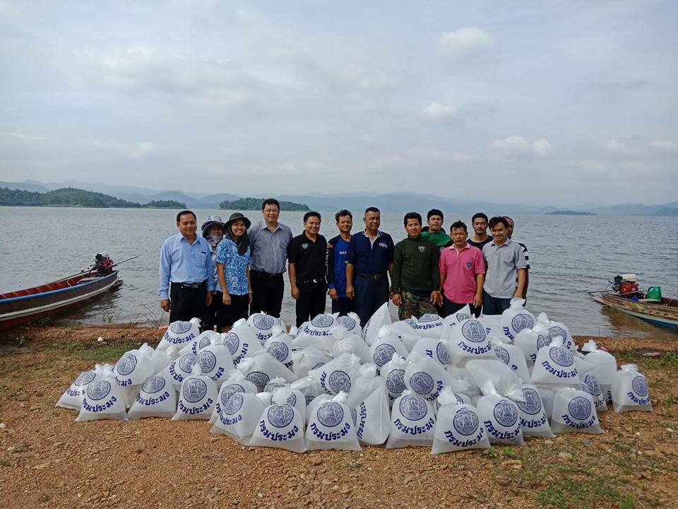 ปล่อยพันธุ์ปลาจำนวน 200,000 ตั..ชมภาพ