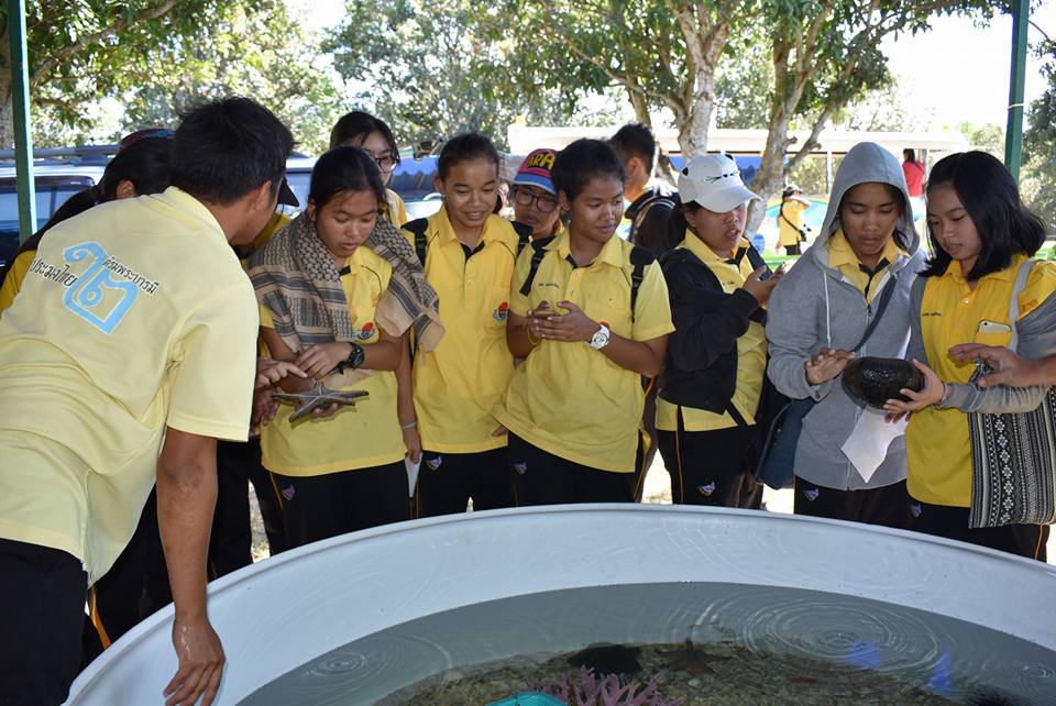 กิจกรรม การแสดงพันธุ์สัตว์น้ำจ..ชมภาพ