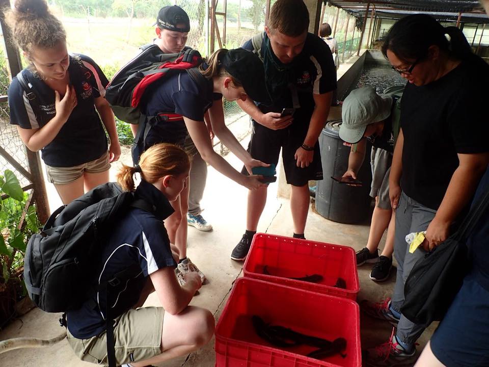 ศูนย์วิจัยและพัฒนาการเพาะเลี้ย..ชมภาพ