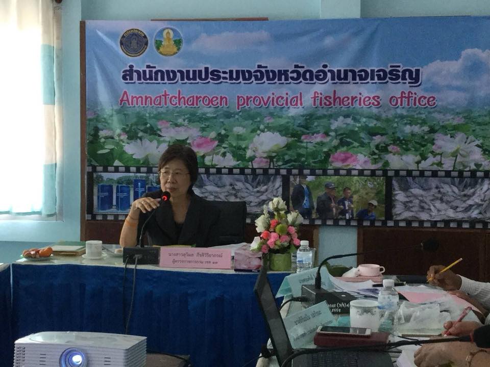 ประชุมเพื่อตรวจติดตามผลการดำเน..ชมภาพ