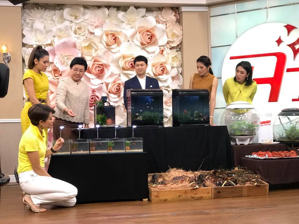 สัมภาษณ์เชิญชวนประชาชนเที่ยวชม..ชมภาพ