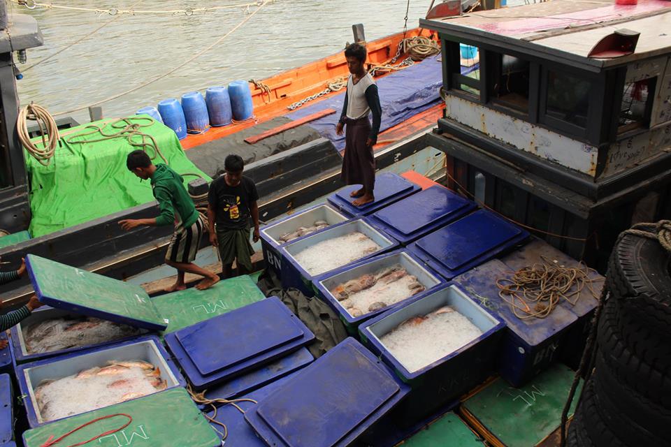 เจ้าหน้าที่ตรวจเรือขนถ่ายสัตว์..ชมภาพ