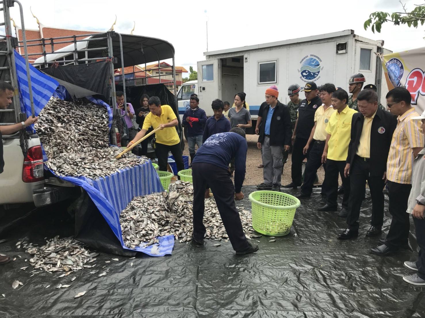 โครงการแก้ไขปัญหาการแพร่ระบาดป..ชมภาพ