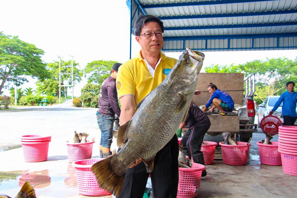 เยี่ยมชมสูตรความสำเร็จการเลี้ย..ชมภาพ