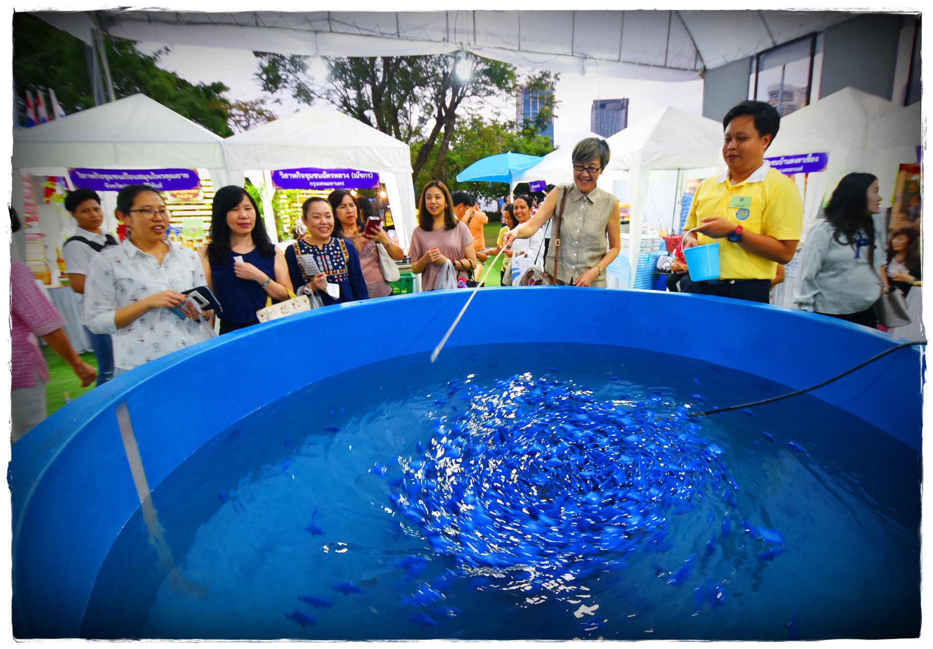 งานกาชาด ประจำปี 2561 จัดขึ้นต..ชมภาพ