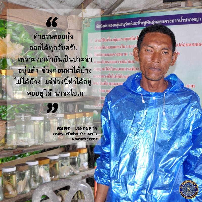 ..ชมภาพ