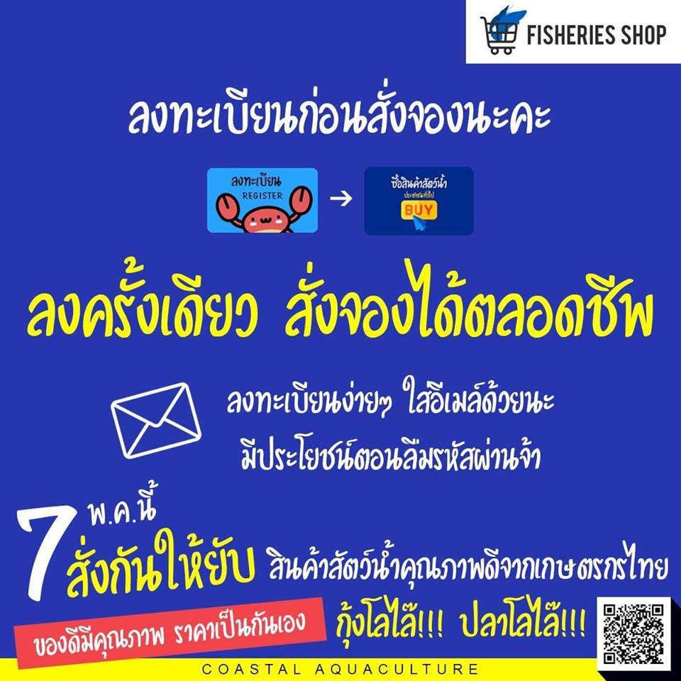 มาแล้วๆ  ถูกและดีมีอยู่ที่กรมป..ชมภาพ