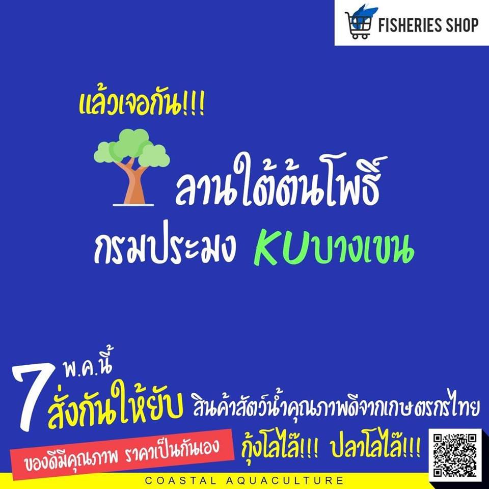 มาแล้วๆ  ถูกและดีมีอยู่ที่กรมป..ชมภาพ