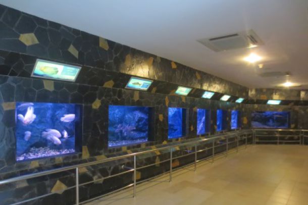 สถานแสดงพันธุ์สัตว์น้ำ เขื่อนป..ชมภาพ