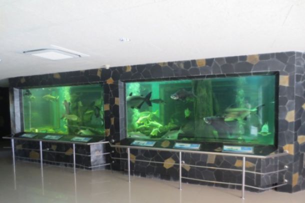 สถานแสดงพันธุ์สัตว์น้ำ เขื่อนป..ชมภาพ