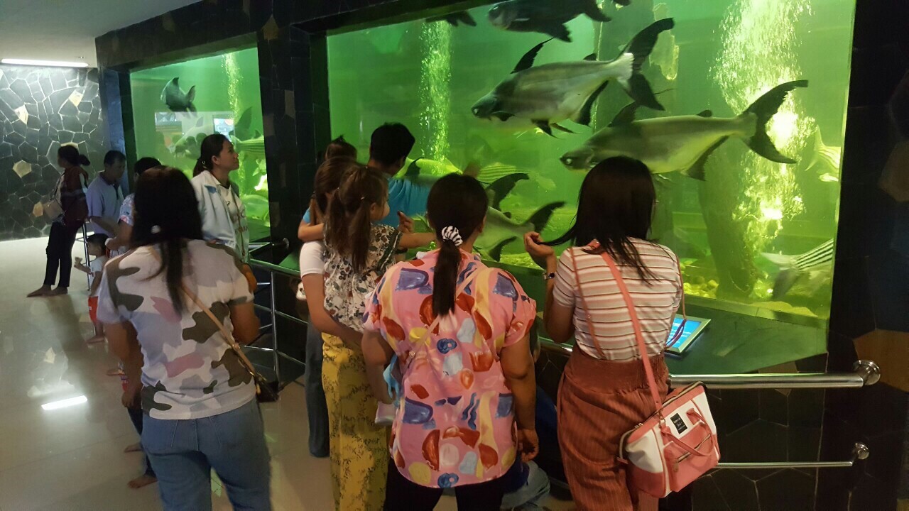 สถานแสดงพันธุ์สัตว์น้ำ เขื่อนป..ชมภาพ