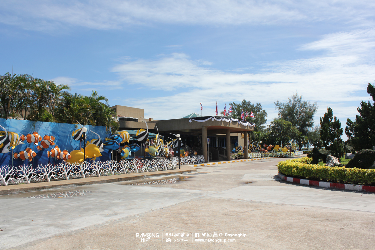 สถานแสดงพันธุ์สัตว์น้ำระยอง (R..ชมภาพ