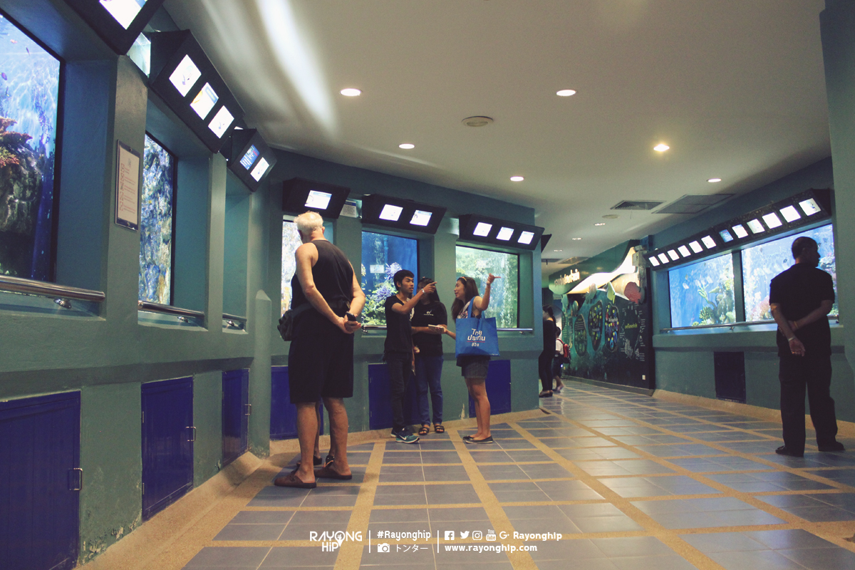 สถานแสดงพันธุ์สัตว์น้ำระยอง (R..ชมภาพ