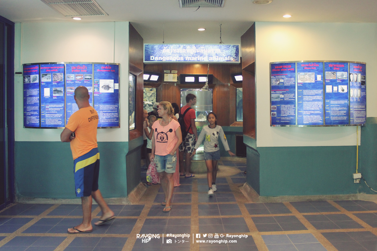 สถานแสดงพันธุ์สัตว์น้ำระยอง (R..ชมภาพ