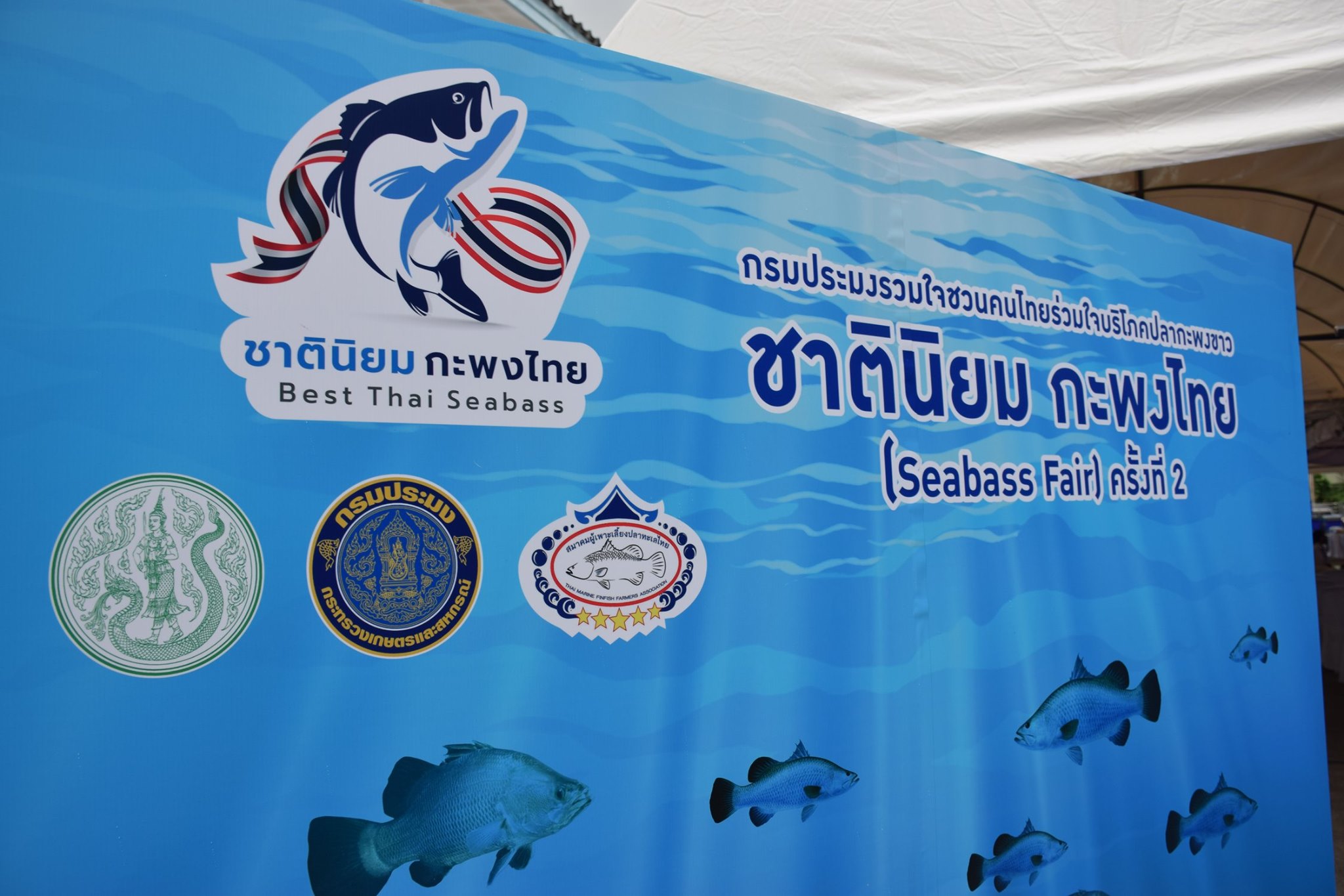 เปิดแล้วงานแฟร์สุดฮอต “ชาตินิย..ชมภาพ