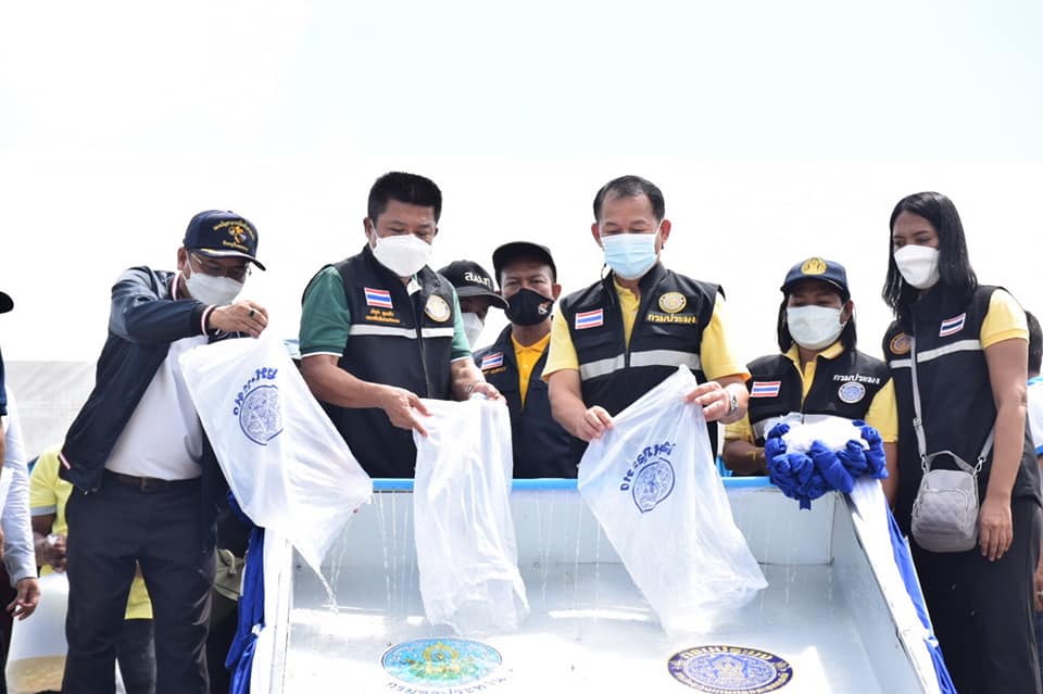 ดร.เฉลิมชัย ศรีอ่อน รัฐมนตรีว่..ชมภาพ