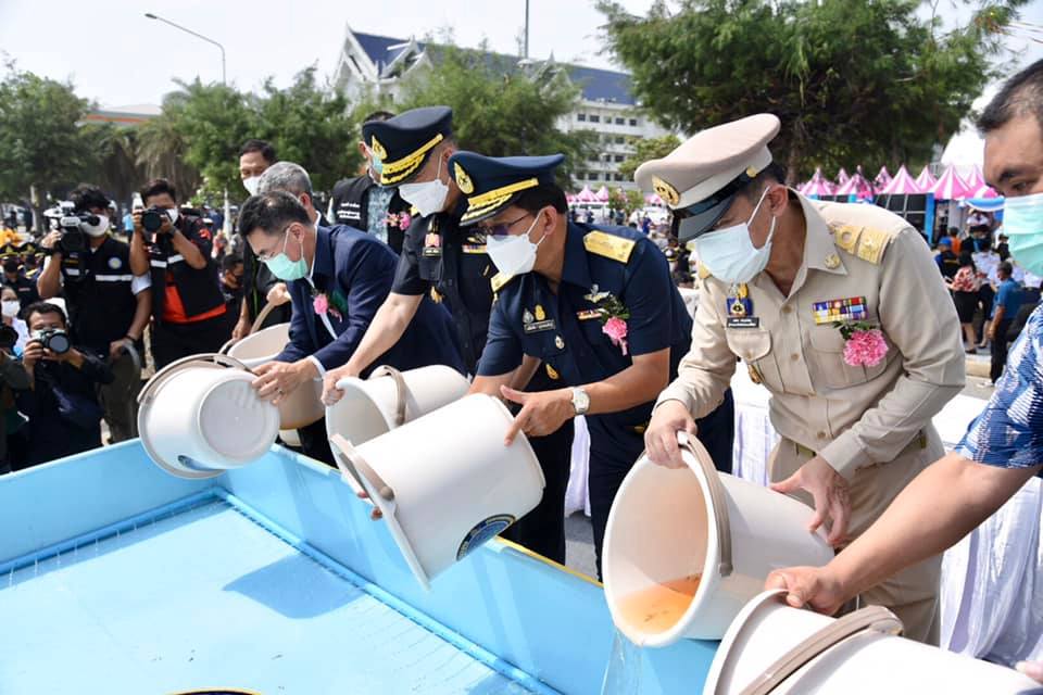 กรมประมงจัดพิธีประกาศ “ปิดอ่าว..ชมภาพ