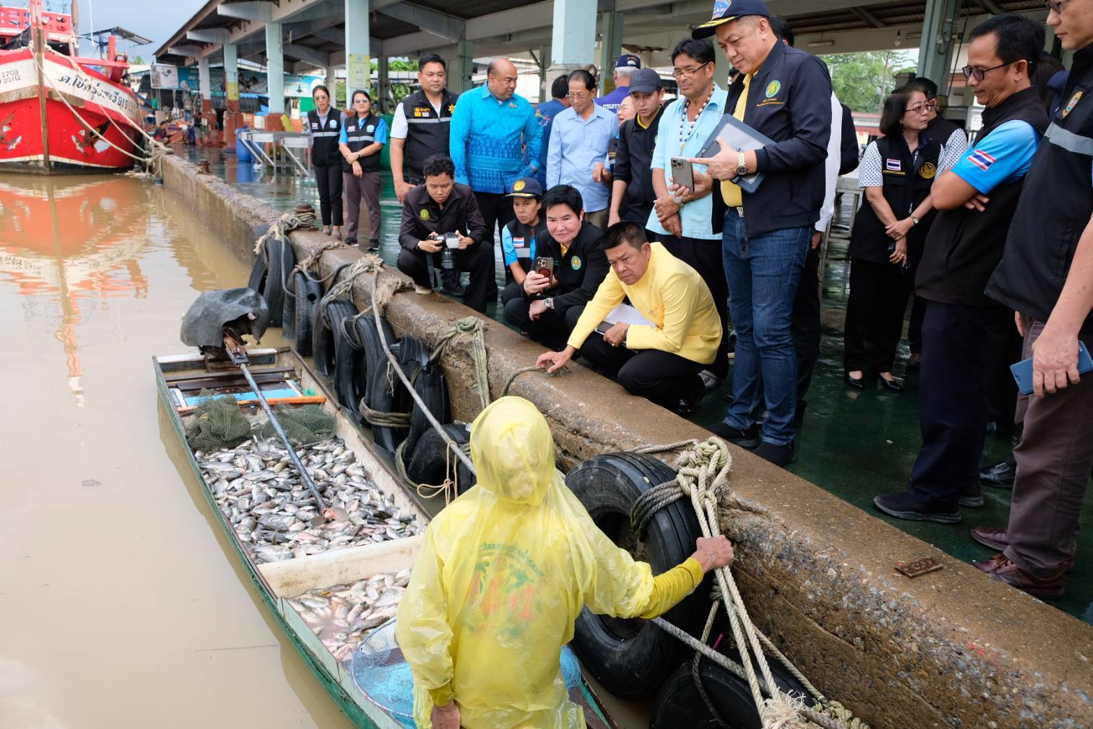 ณ ท่าเทียบเรือประมงชุมพร จังหว..ชมภาพ
