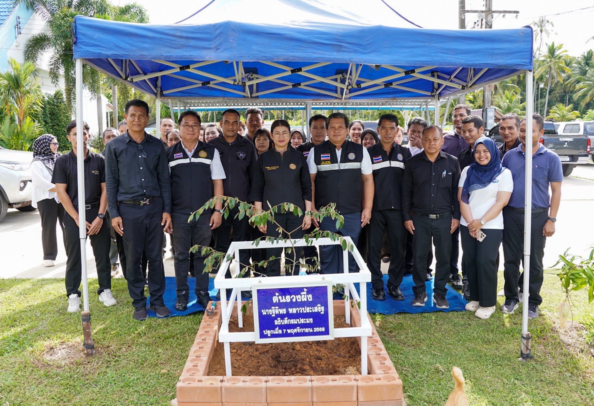 ติดตามความก้าวหน้าการดำเนินการ