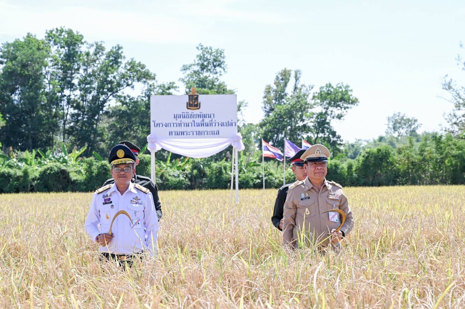 ณ แปลงสาธิตการเกษตร โรงเรียนนา