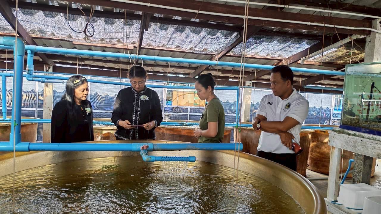 อธิบดีกรมประมง.. ติดตามผลการดำ