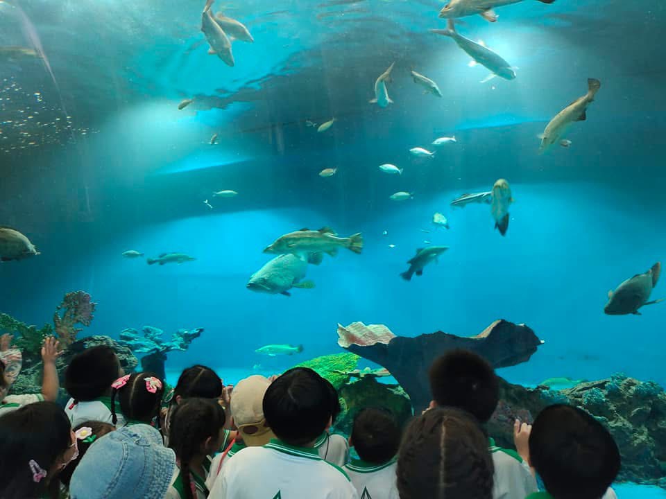 กรมประมง...ร่วมส่งสุขปีใหม่ 25