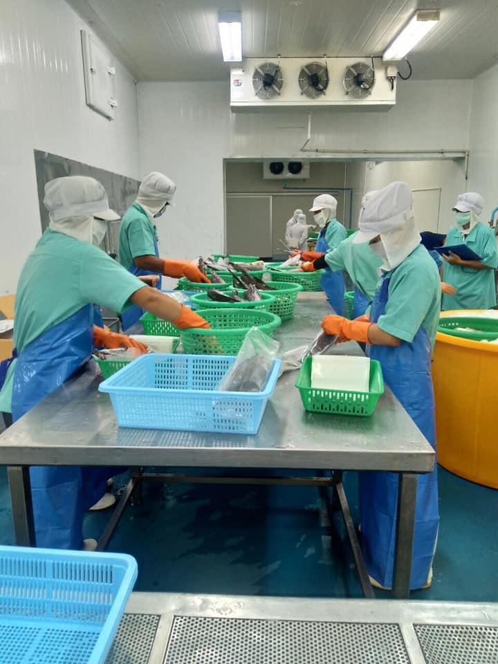 DOF leads to international standards, is certified by the United States for Thailand