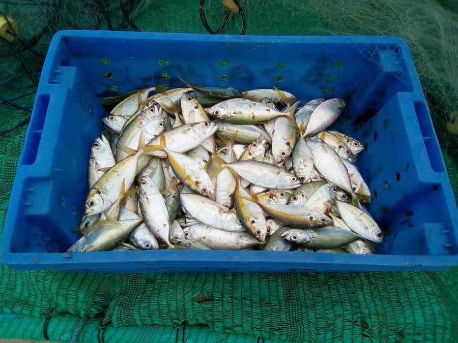 Baan Tulakorpalus - a model cooperative in Narathiwat to fight against IUU fishing
