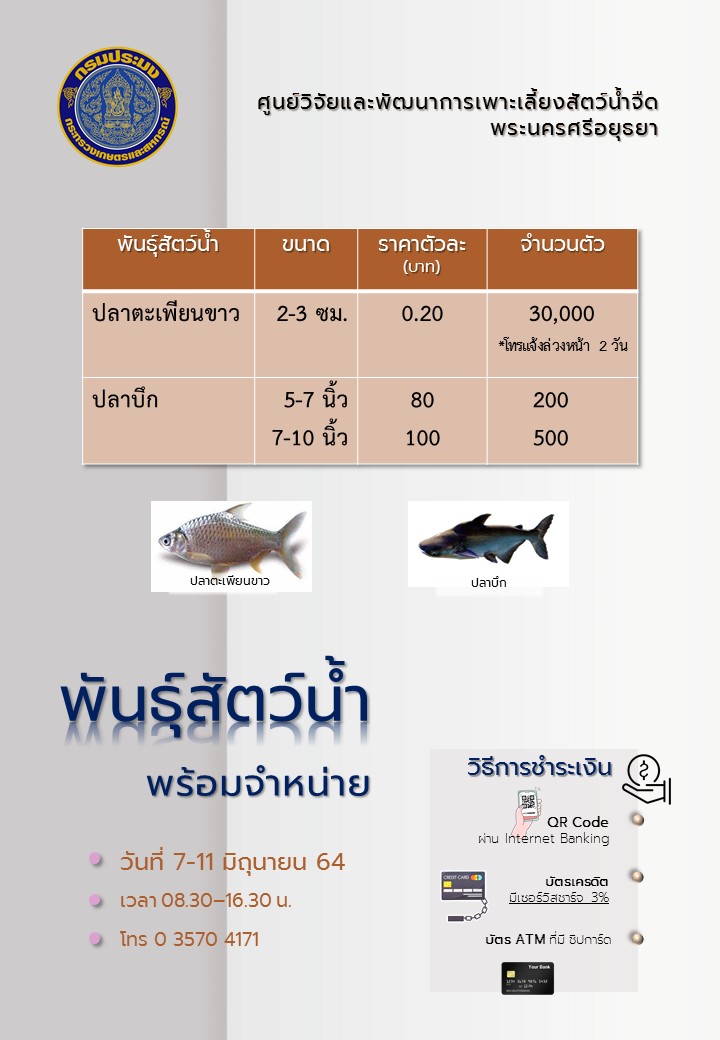 ชนิดพันธ์ุสัตว์น้ำพร้อมจำหน่าย (7-11 มิถุนายน 2564) ศพจ.พระนครศรีอยุธยา