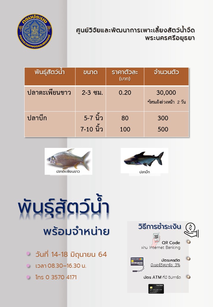 ชนิดพันธ์ุสัตว์น้ำพร้อมจำหน่าย (14-18 มิถุนายน 2564) ศพจ.พระนครศรีอยุธยา
