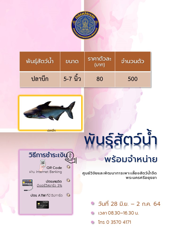 ชนิดพันธ์ุสัตว์น้ำพร้อมจำหน่าย (28 มิถุนายน - 2 กรกฎาคม 2564) ศพจ.พระนครศรีอยุธยา