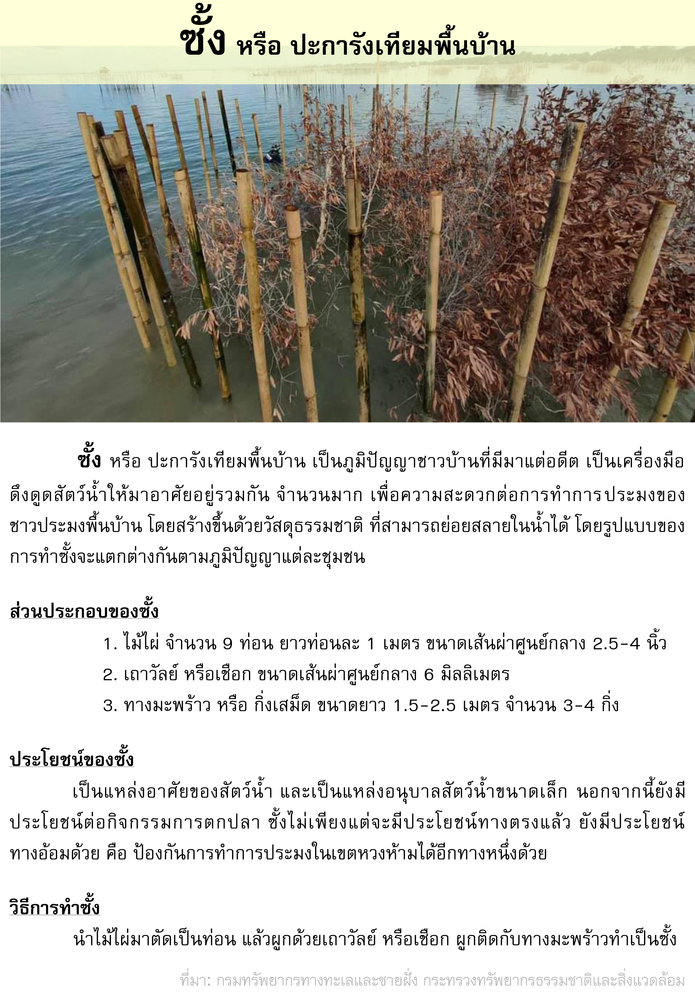 ซั้ง หรือ ปะการังเทียมพื้นบ้าน