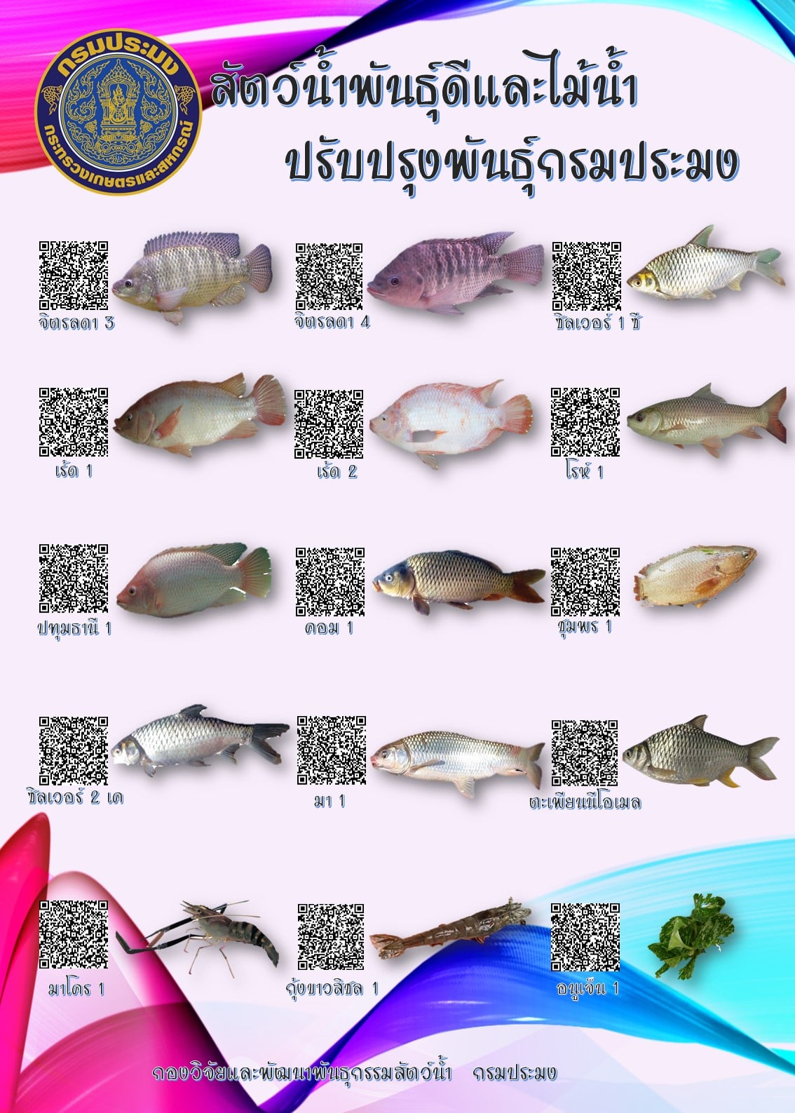 สัตว์น้ำพันธุ์ดี และไม้น้ำปรับปรุงพันธุ์กรมประมง