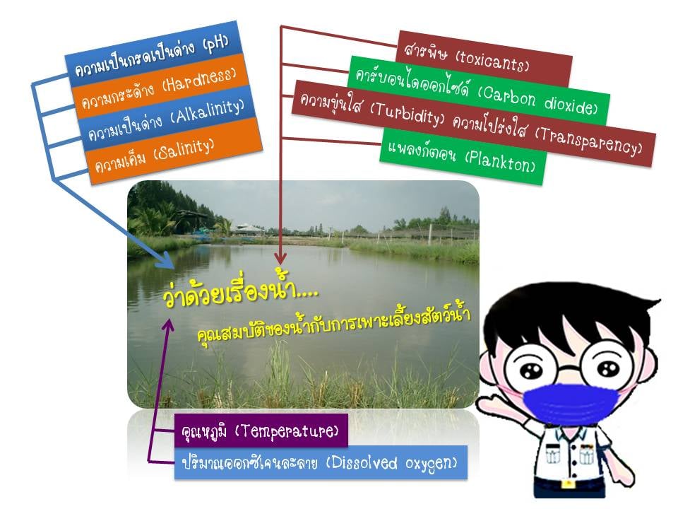 ว่าด้วยเรื่องน้ำ.... คุณสมบัติของน้ำกับการเพาะเลี้ยงสัตว์น้ำ 
