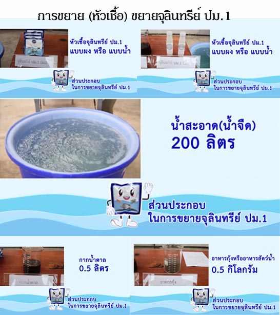 การผลิต และขยายจุลินทรีย์ ปม.1 เพื่อนำไปใช้ในพื้นที่การเกษตร
