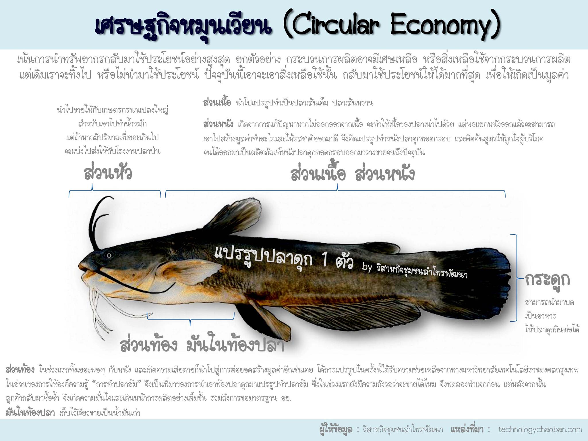 เศรษฐกิจหมุนเวียน (Circular Economy)  กับสัตว์น้ำของไทย