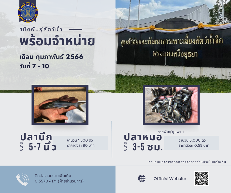 ชนิดพันธุ์สัตว์น้ำพร้อมจำหน่าย (7-10 กุมภาพันธ์ 2566) ศพจ.พระนครศรีอยุธยา