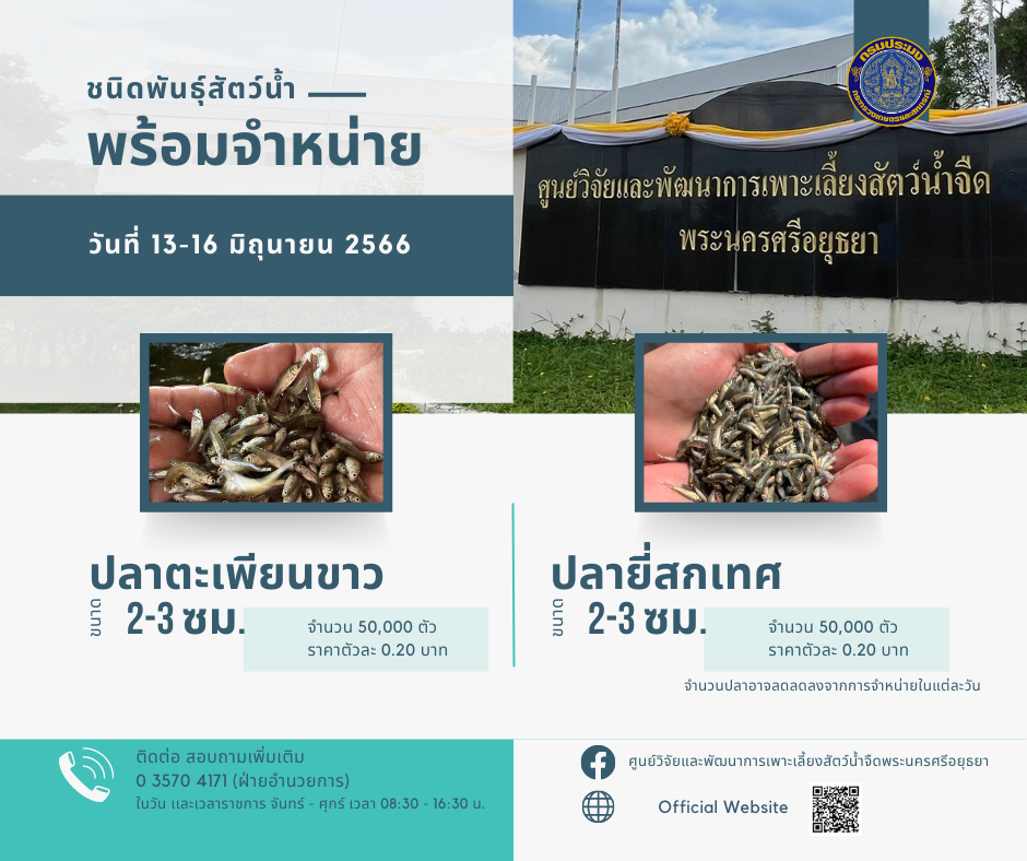ชนิดพันธุ์สัตว์น้ำพร้อมจำหน่าย (13-16 มิถุนายน 2566) ศพจ.พระนครศรีอยุธยา