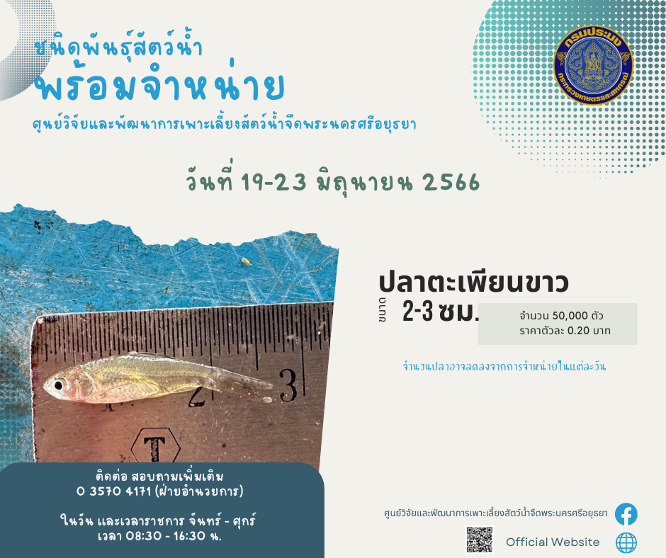 ชนิดพันธุ์สัตว์น้ำพร้อมจำหน่าย (19-23 มิถุนายน 2566) ศพจ.พระนครศรีอยุธยา