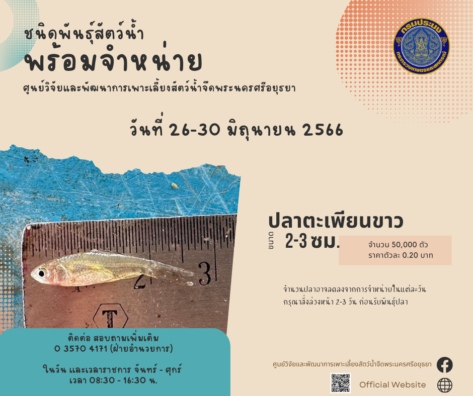 ชนิดพันธุ์สัตว์น้ำพร้อมจำหน่าย (26-30 มิถุนายน 2566) ศพจ.พระนครศรีอยุธยา